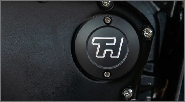 Store Cats Accessories@2x